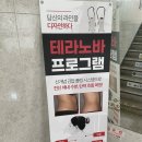 테라노바 네이버블로그