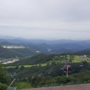 브레인 행정사사무소 이미지