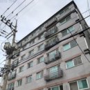 서울월정초등학교 이미지