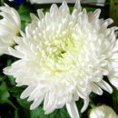 땅끝쉼터 이미지