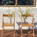 남해-139 | 남해군 애견동반여행지 애견동반 여행지, 반려견과 최적의 코스 비교 TOP 3