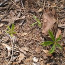 서상농장 이미지