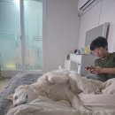 환상의 섬 이미지