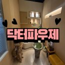 파우제호텔 | 용호동피부관리 닥터파우제 에스테틱 용호점(플라즈마 후기)