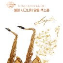 셀마악기사 이미지