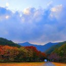단풍 - 경산시 | 단풍