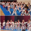 한국체대 석사태권도 이미지