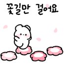 용인대 MBA 태권도장 이미지