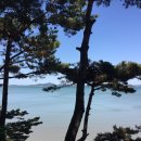 위드오션2 이미지