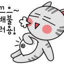 아리랑해물칼국수 이미지