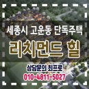 세종코퍼레이션주 이미지