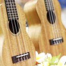 알로하 우쿨렐레 이미지