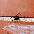 광주양지병원 이미지