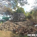 골왓마을방사탑 5호 이미지