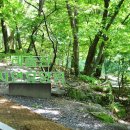 비슬산자연휴양림 이미지