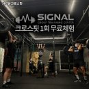 시그널 크로스핏 이미지