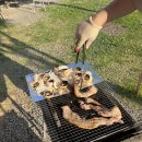 왕송호수캠핑장 이미지