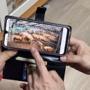 한우번식축산 이미지