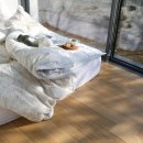 지젤팬션 이미지