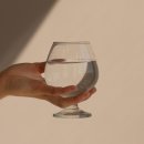 M.A.G 태권도 이미지