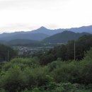 용문산마을 Daum카페