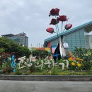 반려식물 다육토분 | 일산 호수공원 2025 고양가을꽃축제, 고양호수예술축제 안내