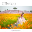 신소양체육공원 이미지