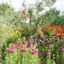 동화숲민박 이미지