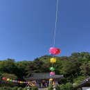 구례 지리산 연곡사 템플스테이 후기