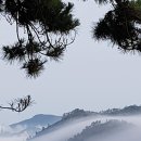 노을에무초 이미지