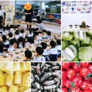 선운숲유치원 | [인스나인유치원] 만3세 텃밭체험, 비아트 (유아미술), 과일청만들기 ^^