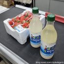 남원식자재마트 | 전북 남원 당일치기 - 금성쭈꾸미 광한루 카페몽춘원