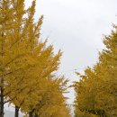 계룡산주유소 이미지