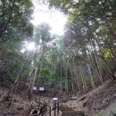 내도마을 이미지