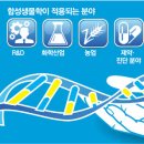 태양석유 이미지