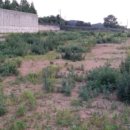 장명초등학교 이미지