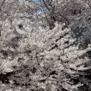 2019-03-0016 | 일본 골든위크 4박 5일 삿포로 여행 - 2025.05 오타루 여행 코스, 오타루 맛집