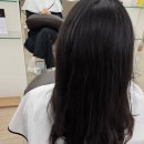 올림픽공원역 | 이가자헤어비스 올림픽공원역미용실 추천 일상 디자이너 크리닉 후기