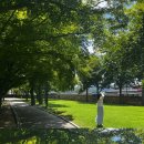 수향목장 이미지