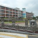 감정초교 이미지