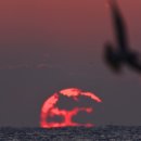 프롬세븐(PROM 7) 이미지