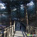 자연 속으로 이미지