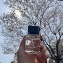 다이엔 에미레아 오드퍼퓸 30ml 후기 | 봄에 어울리는 플로럴 향수 추천