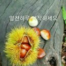 알찬하루 이미지