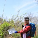 영산기맥9구간(초당대후문-남산-사자산-승달산-깃대봉-대봉산-서해안고속도로) 이미지