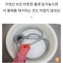 샤워기 청소 안하면 세균 득실 이미지