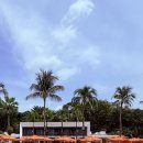 일요일 | 싱가포르 탄종비치클럽 일요일 후기