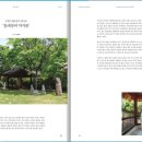 동래정씨 약사불 이미지