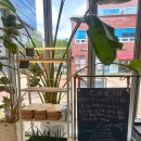 피쿼드커피 | 대전 관평동 카페 추천 최상의 커피원두 사용하는 피쿼드커피 방문후기