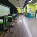 버디스크린골프 이미지